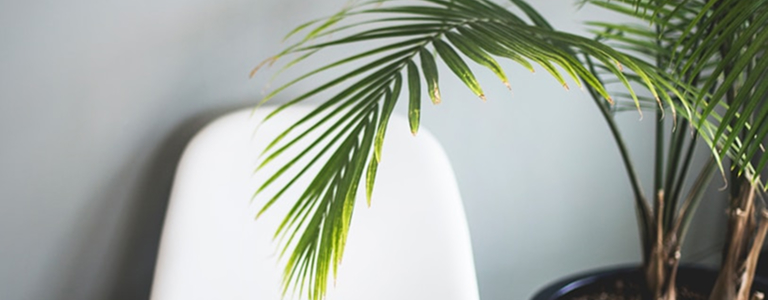 servicios adicionales